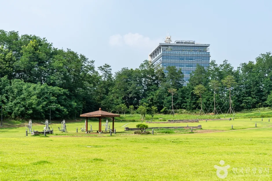 천안시민체육공원 (10)