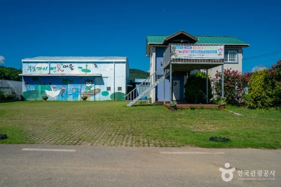 창녕_우포가시연꽃마을 (5)