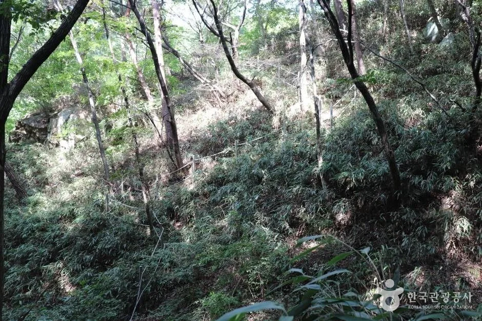 위례산과 위례성지 (5)_e