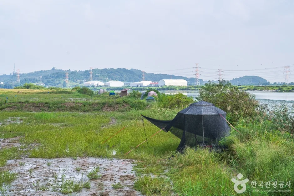 쌀조개섬 (11)