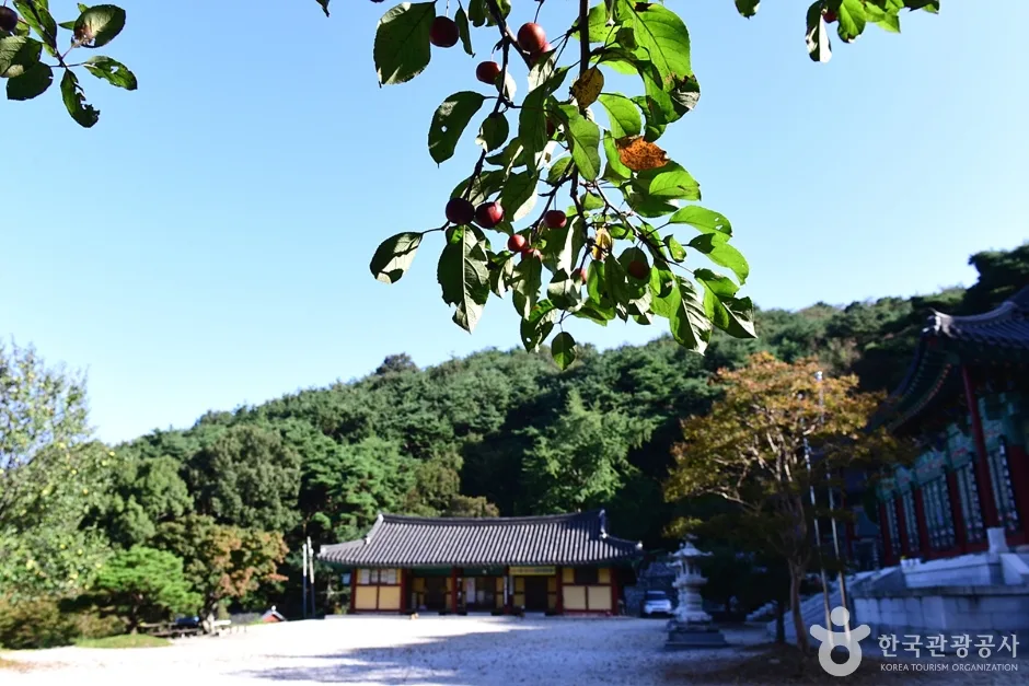 전북_전주_남고사 (5)
