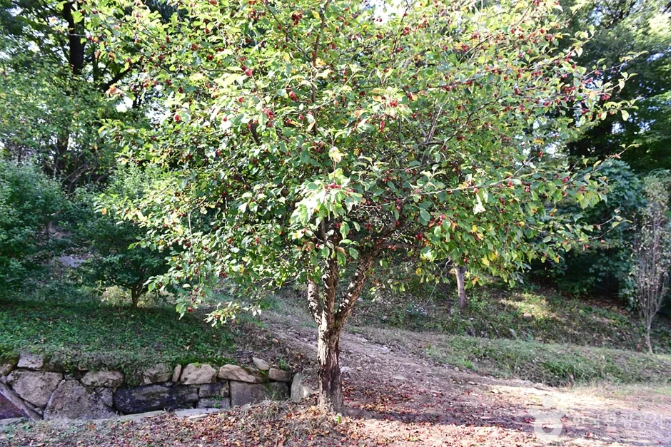 전북_전주_남고사 (6)