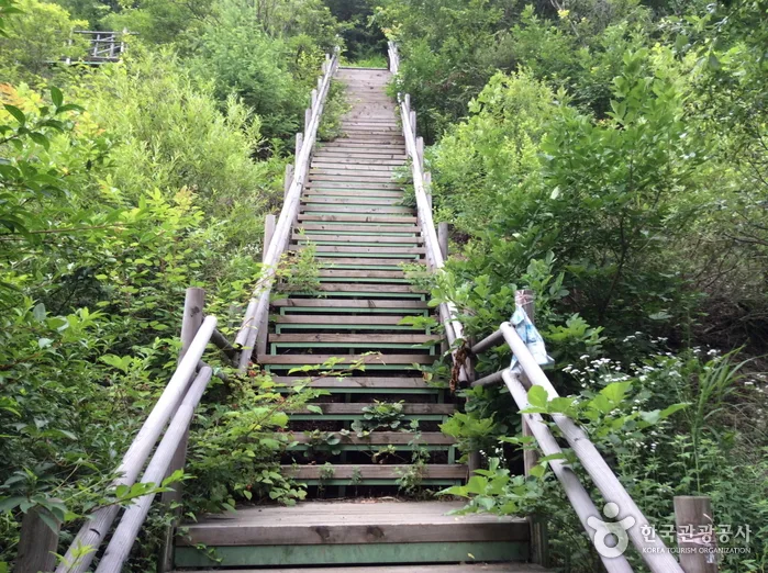 경기_양평_소구니산03
