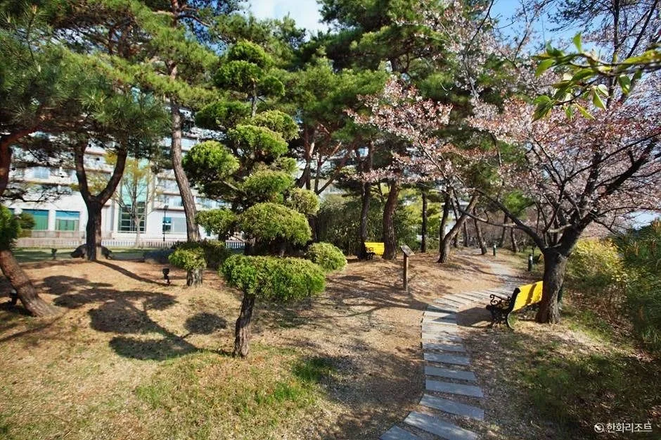 경주_한화리조트 경주 (6)