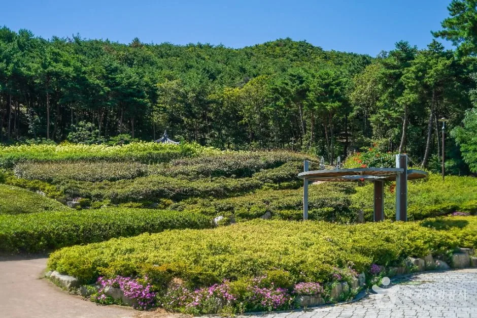포항_운제산산림욕장 (4)