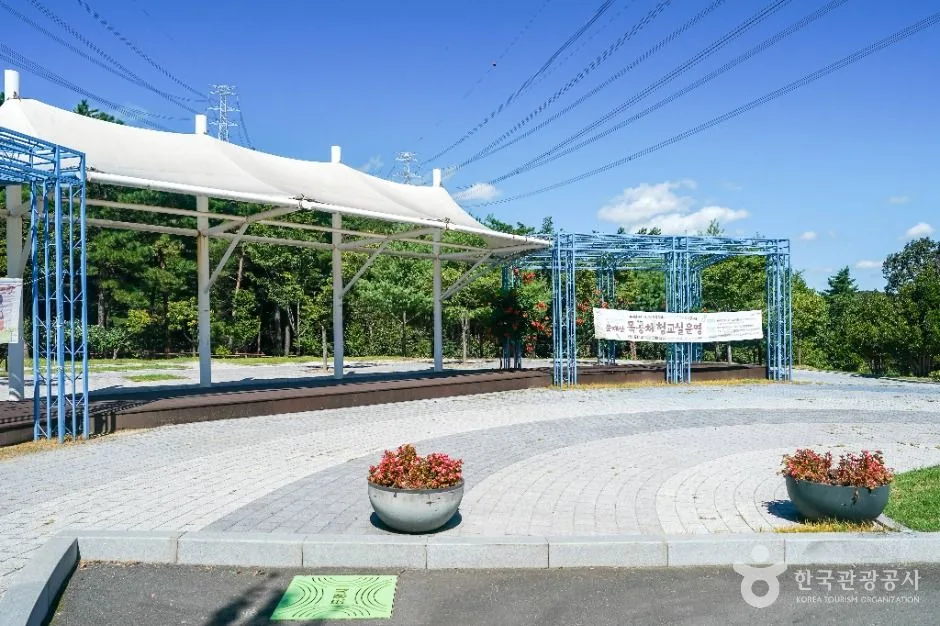 포항_운제산산림욕장 (3)
