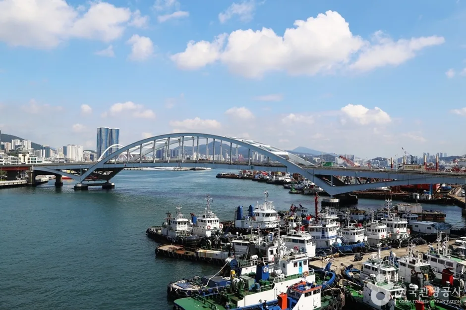 영도대교 (13)