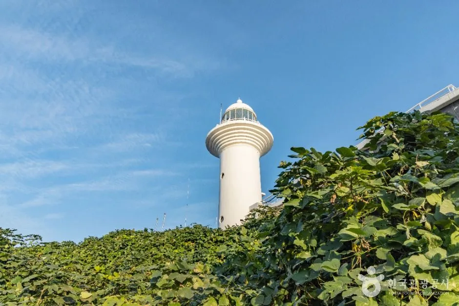울릉_울릉도 등대(태하등대) (1)