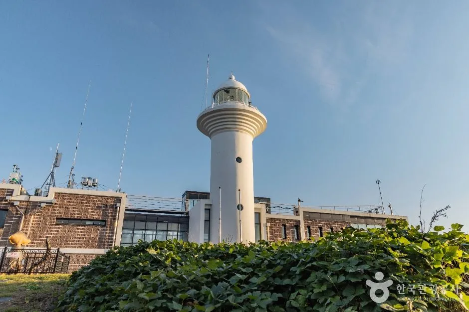 울릉_울릉도 등대(태하등대) (2)