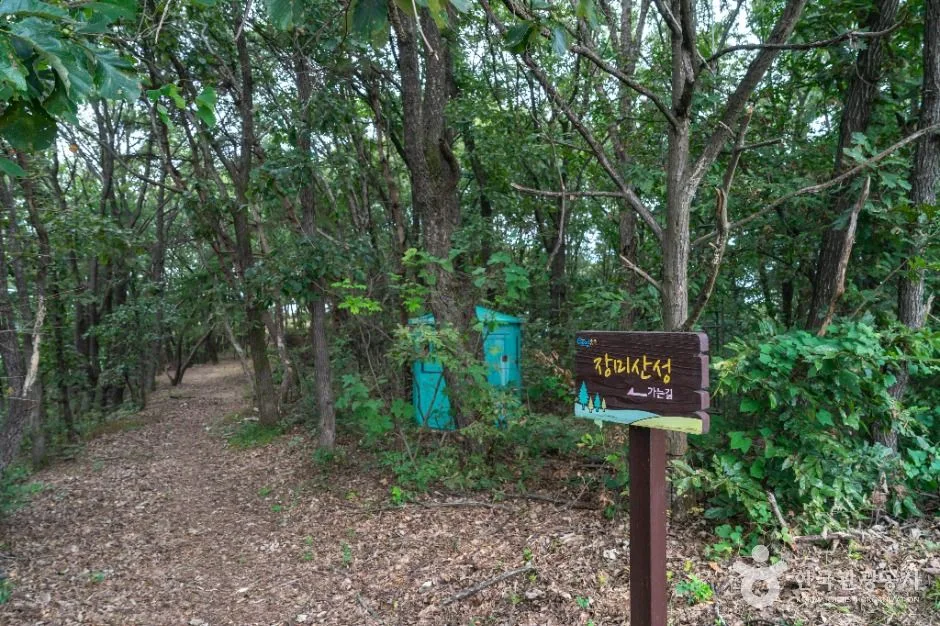 충주_충주 장미산성 (5)
