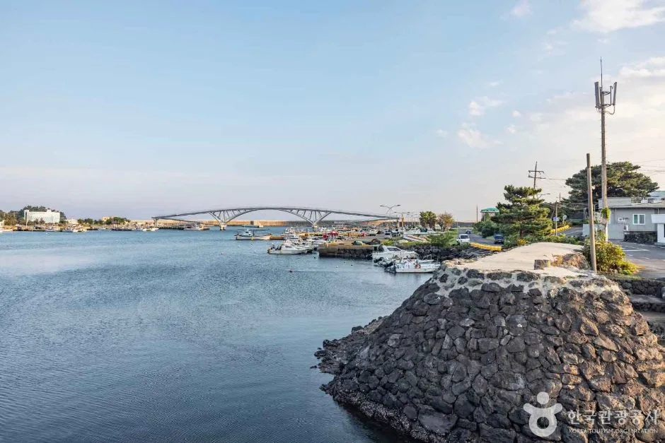 제주_서귀포_위미1리어촌체험마을 (4)
