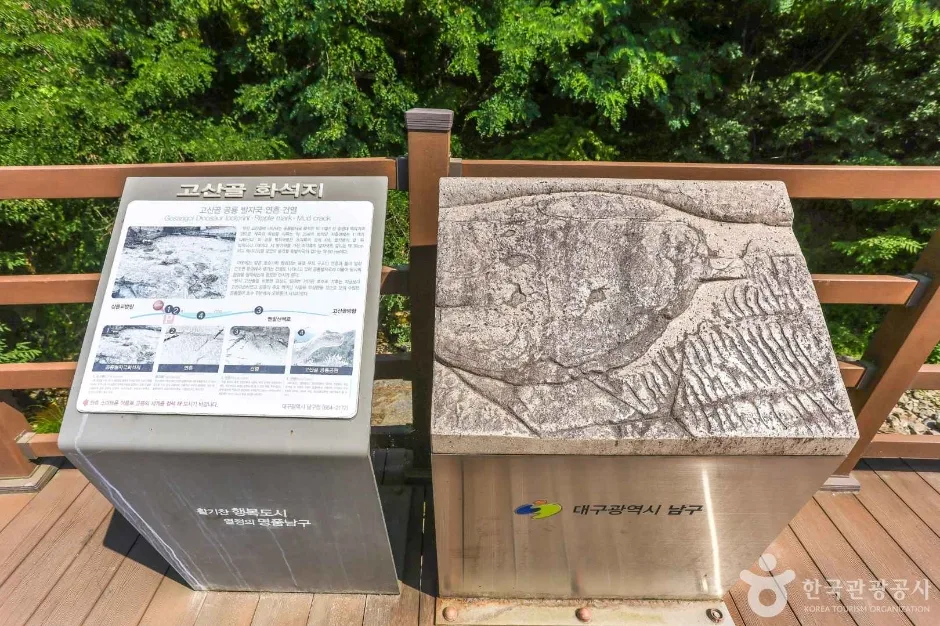 공룡공원 (7)