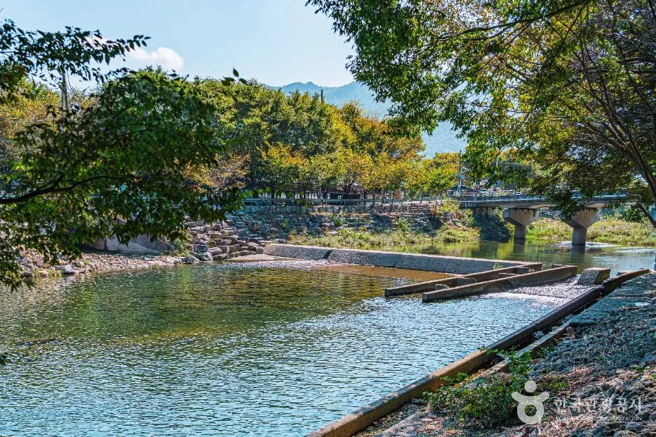 완주_장선천 (5)