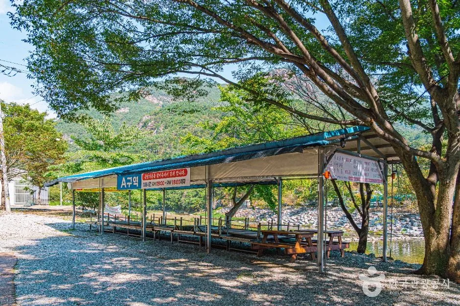 완주_장선천 (4)