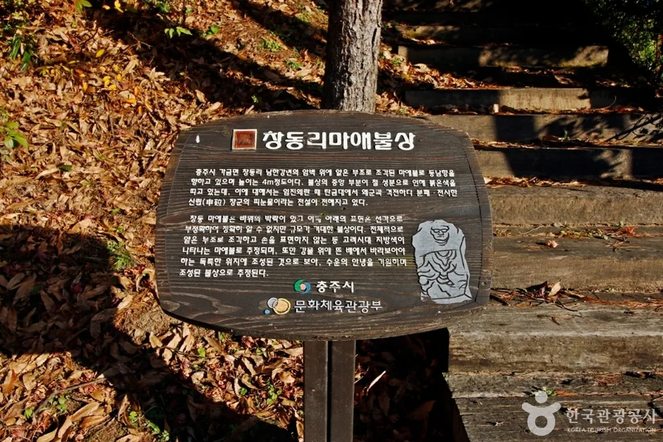 충북_충주_충주 창동리 마애불상 (2)