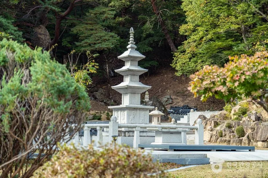 보은_탈골암(충북) (6)