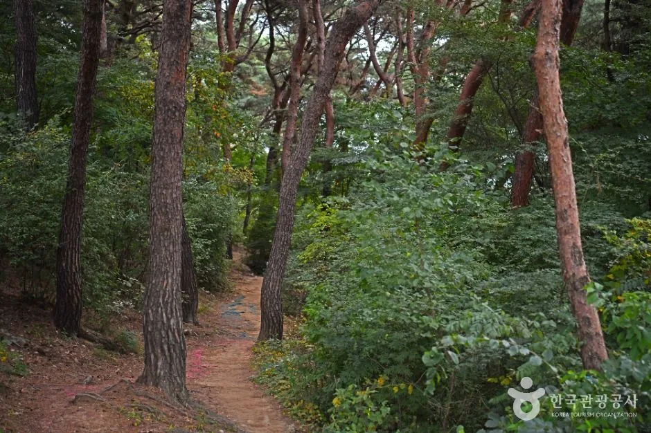수원_팔달산 (5)