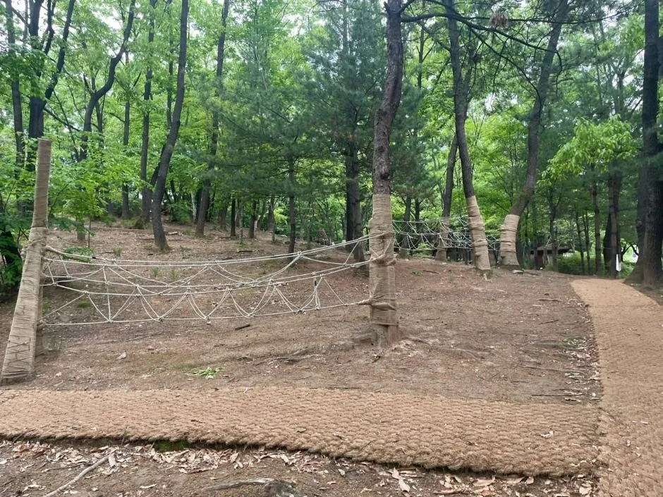 의정부_오목문화 유아숲체험원 (4)