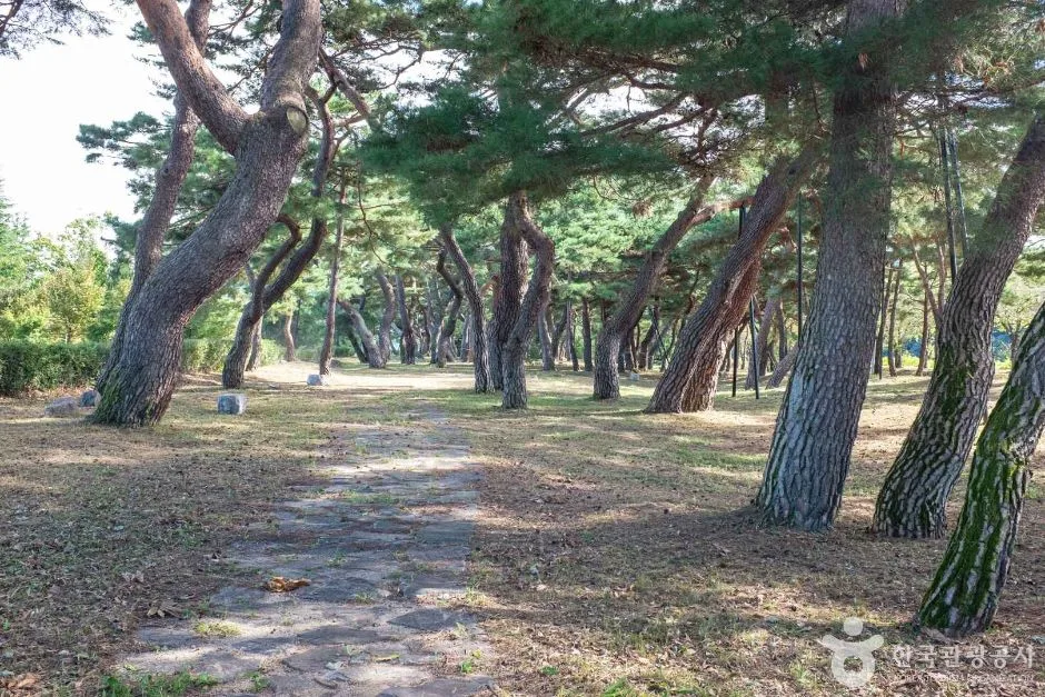 안동_백운정 (3)
