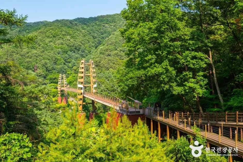 충북_증평_증평 좌구산 명상구름다리_외부_4.jpg