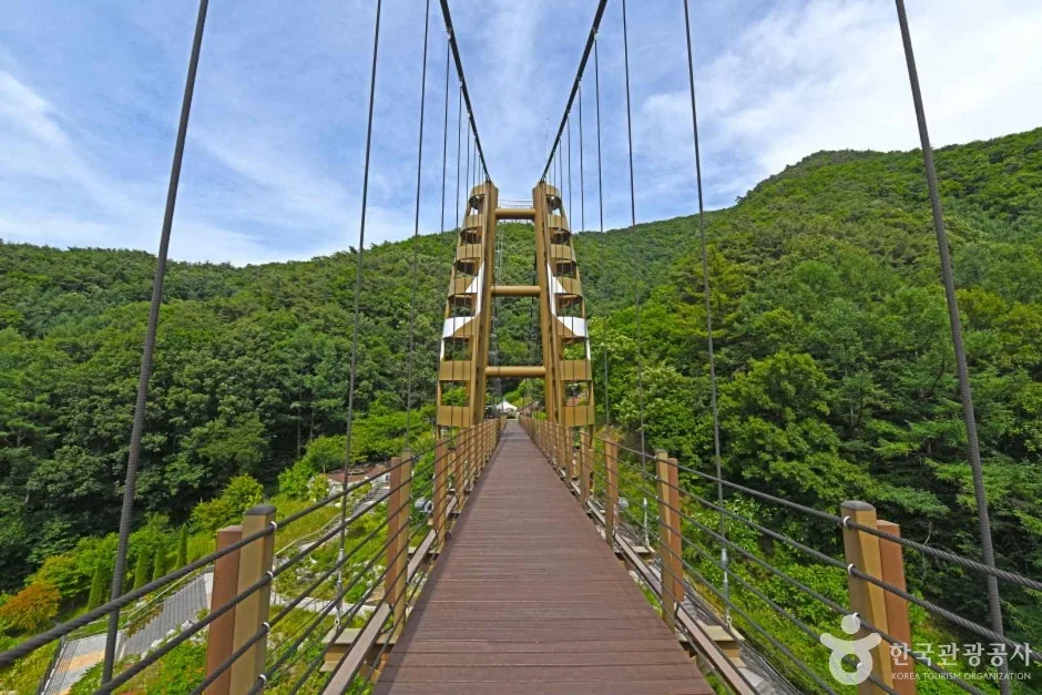 충북_증평_증평 좌구산 명상구름다리_체험_2.jpg