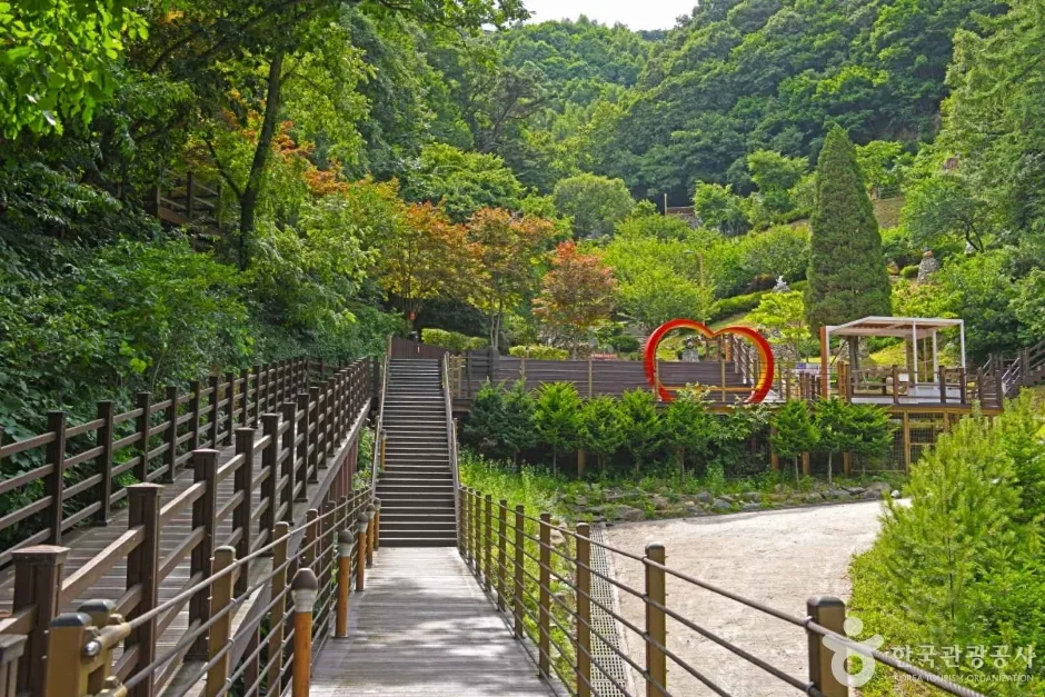 충북_증평_증평 좌구산 명상구름다리_내부_1.jpg