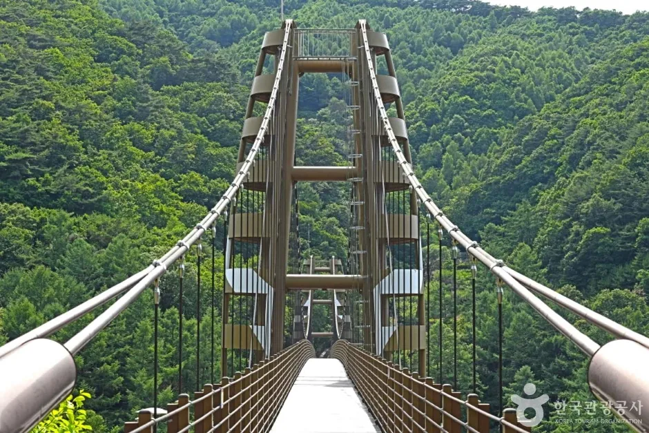 충북_증평_증평 좌구산 명상구름다리_외부_2.jpg