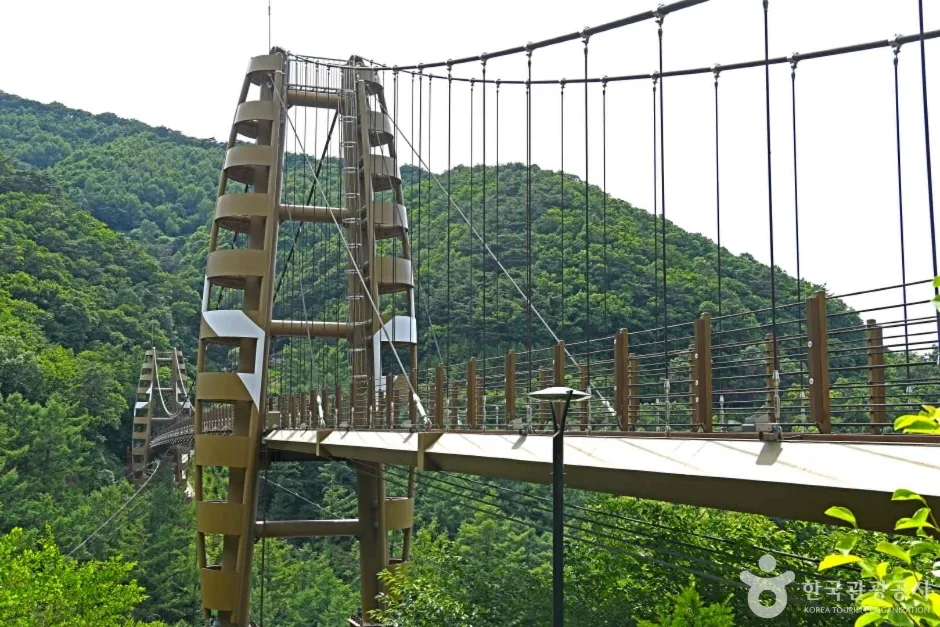 충북_증평_증평 좌구산 명상구름다리_외부_3.jpg