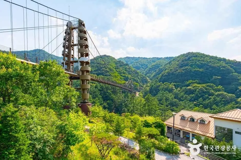 증평 좌구산 명상구름다리