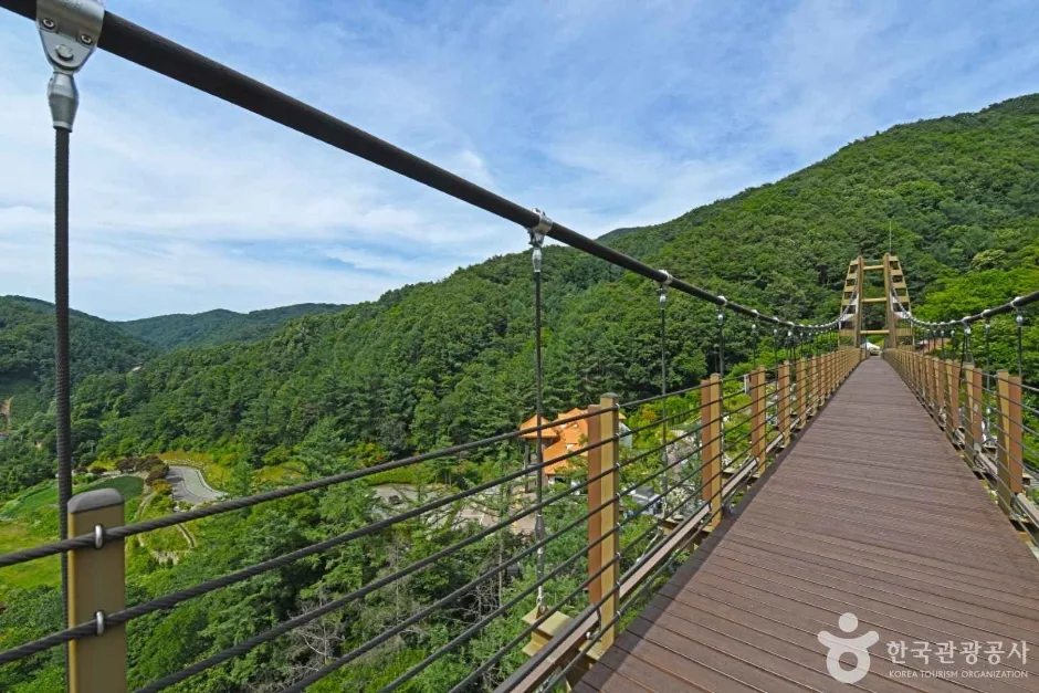 충북_증평_증평 좌구산 명상구름다리_체험_3.jpg