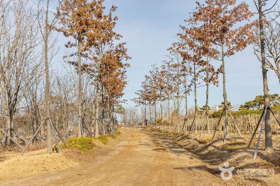 충주_충주 시민의 숲 (5)