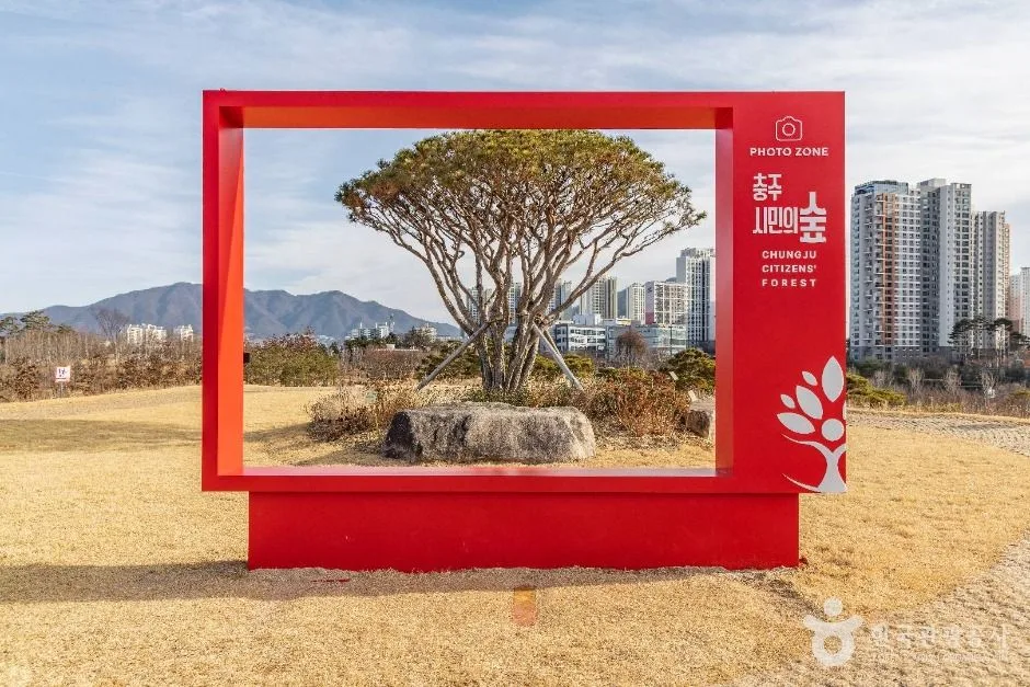 충주_충주 시민의 숲 (11)