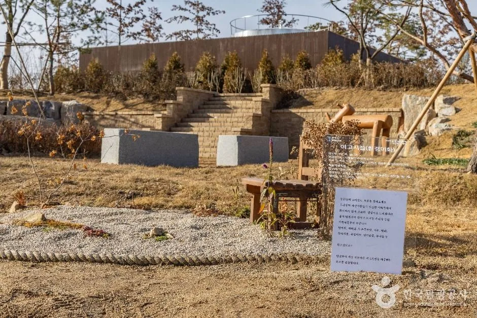 충주_충주 시민의 숲 (7)