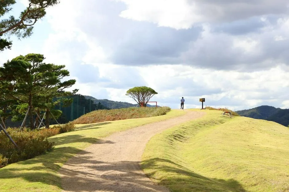 충주_충주 시민의 숲 (8)