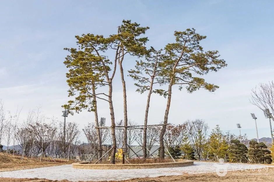 충주_충주 시민의 숲 (1)