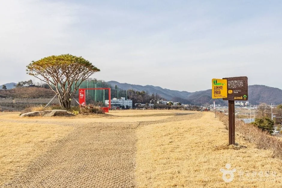 충주_충주 시민의 숲 (10)