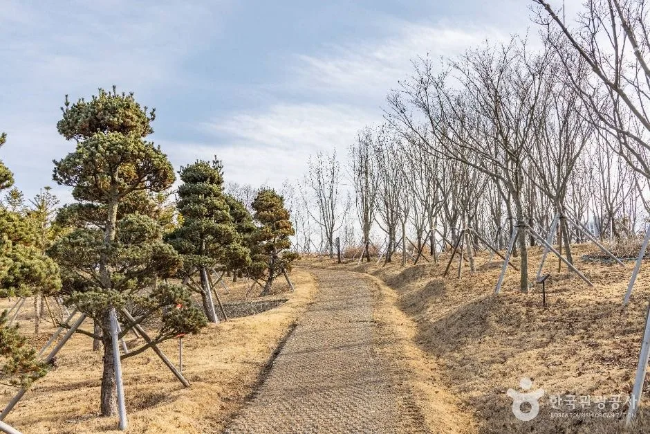 충주_충주 시민의 숲 (9)
