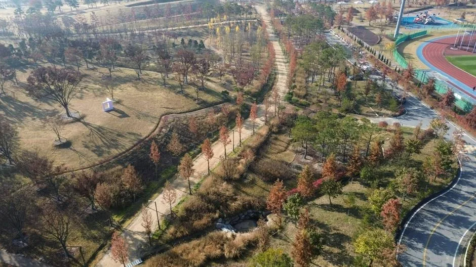 충주_충주 시민의 숲 (4)