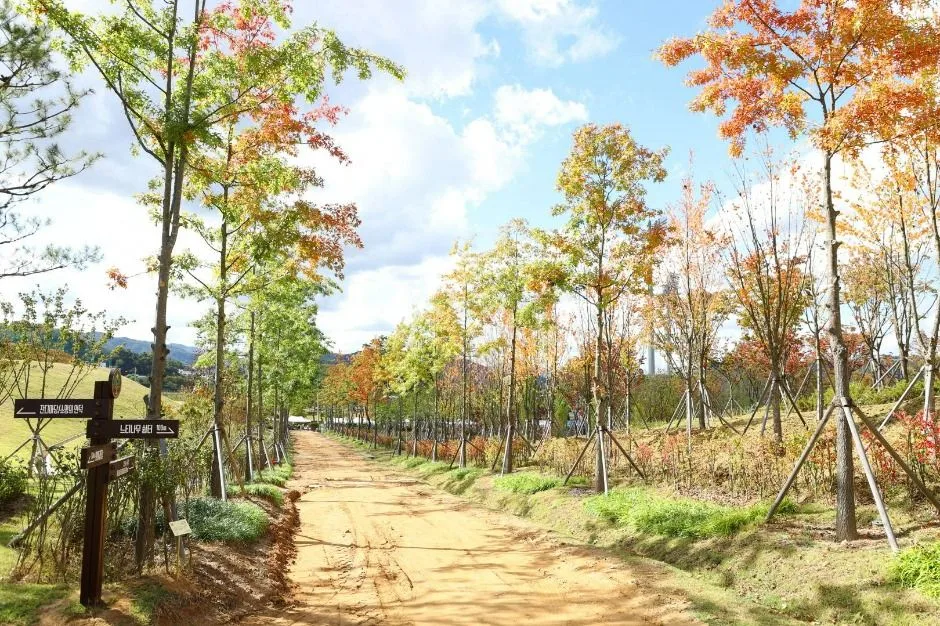 충주_충주 시민의 숲 (9)