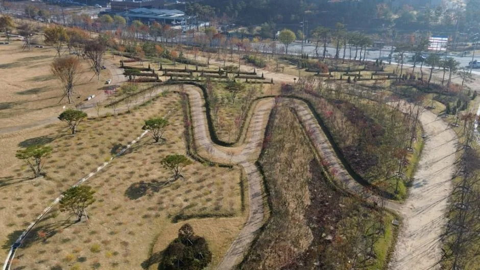 충주_충주 시민의 숲 (6)