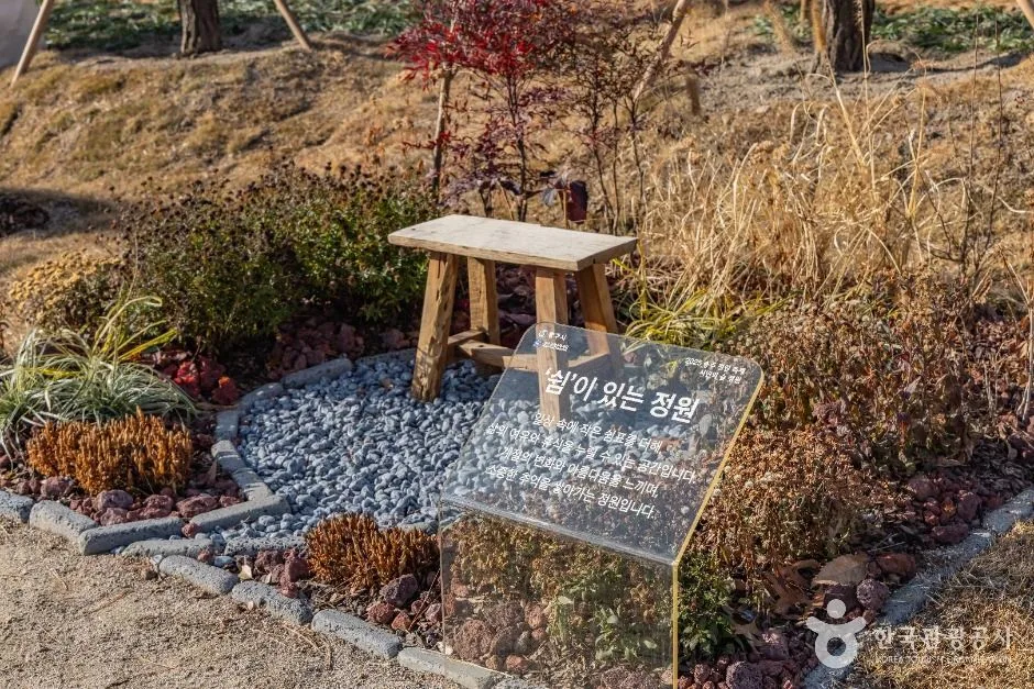 충주_충주 시민의 숲 (8)