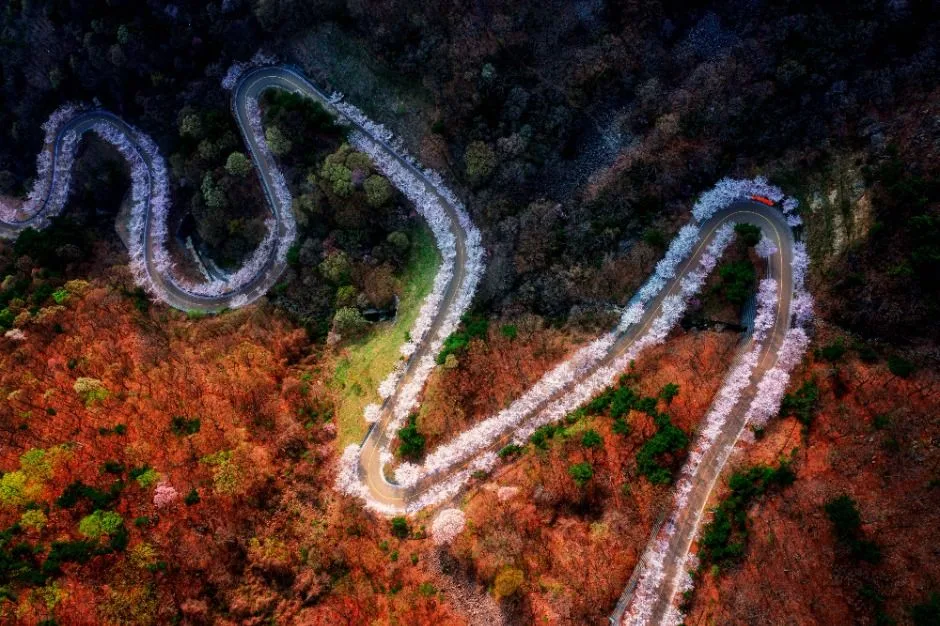 의령_자굴산 (9)