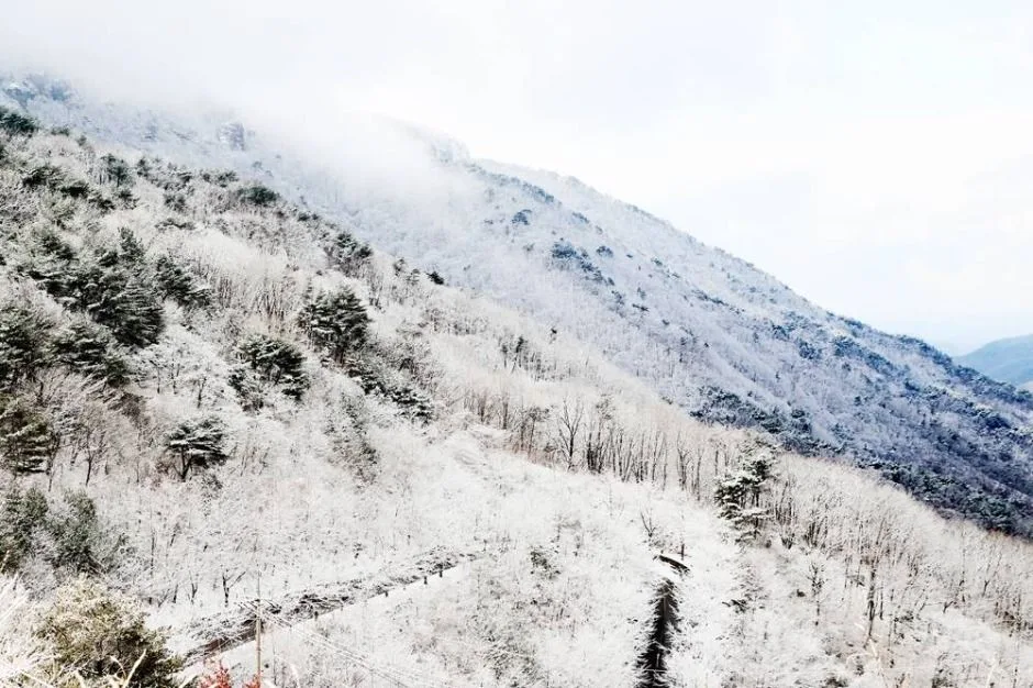 의령_자굴산 (5)