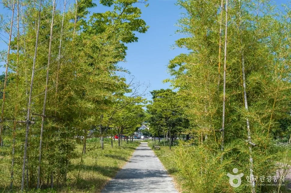 예천_한천체육공원 (2)
