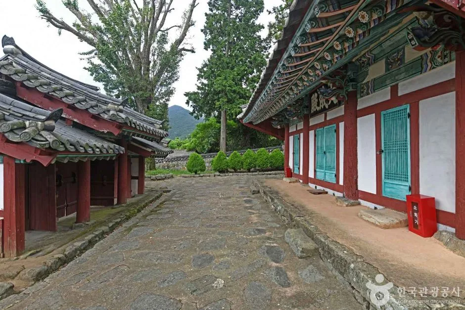 완도_완도향교 (3)