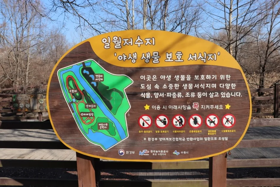 수원_일월공원 (2).jpg