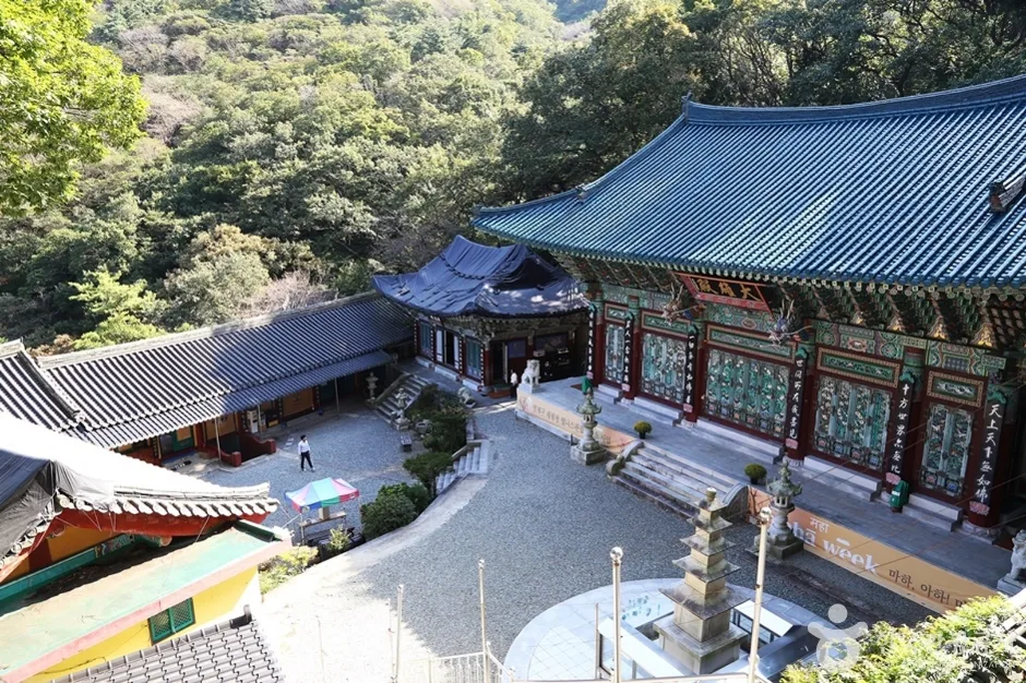 마하사 (17)