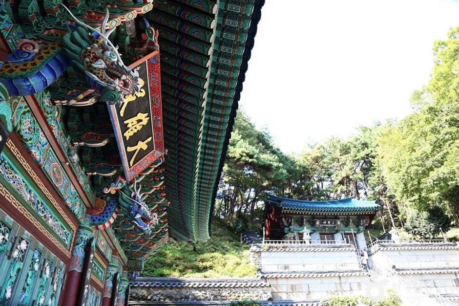 마하사 (12)