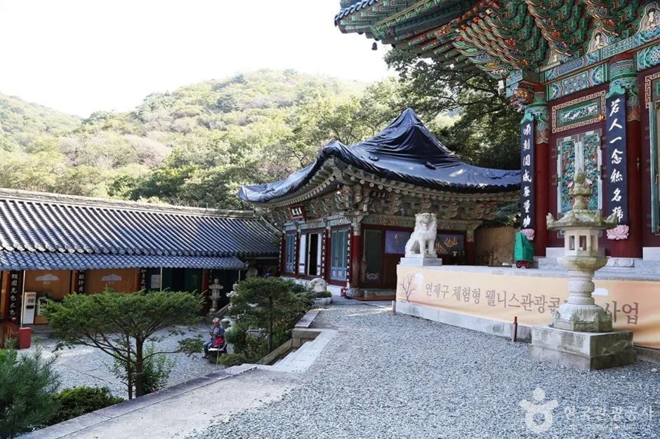 마하사 (8)