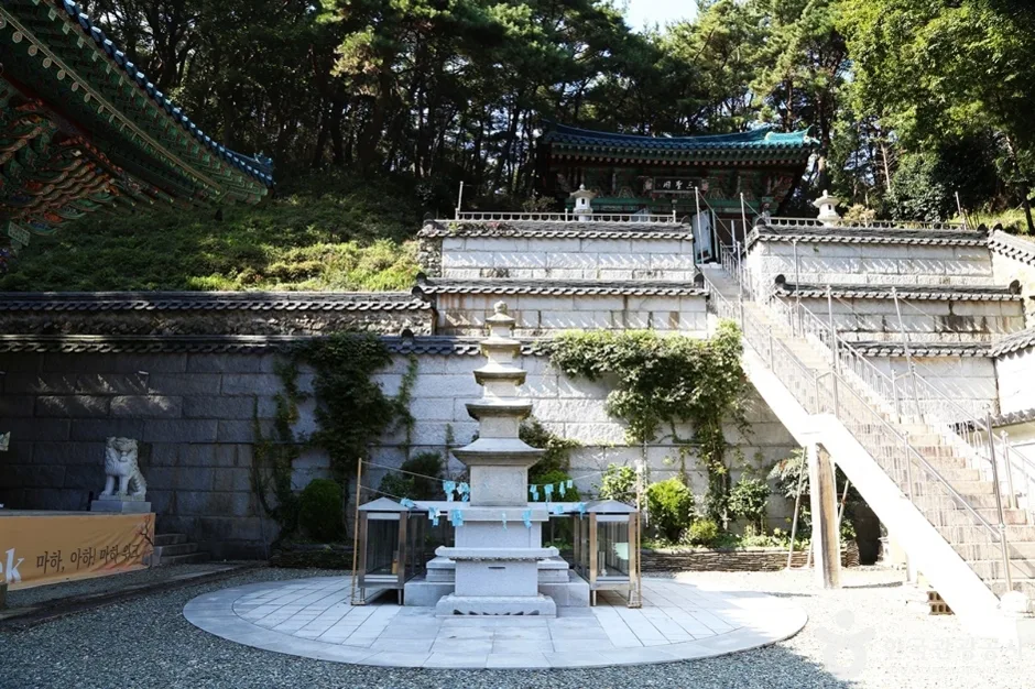 마하사 (9)